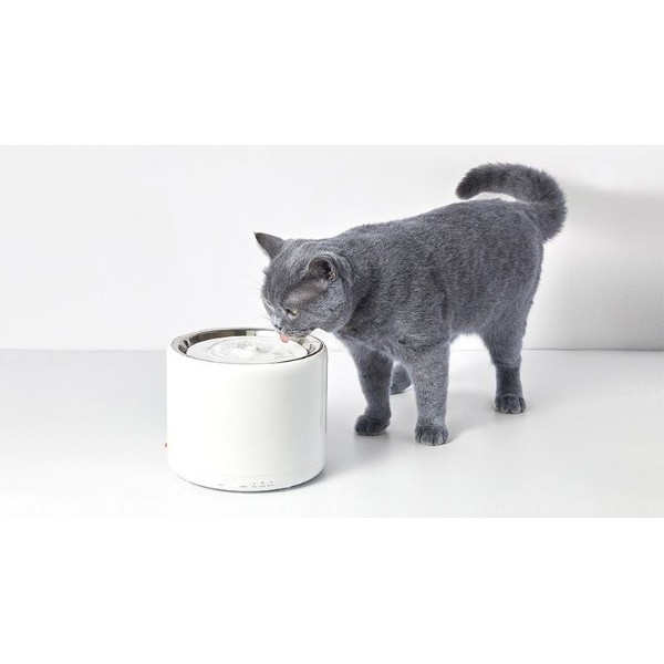 一鍵過濾，寵物飲水機濾芯帶來健康喝水體驗