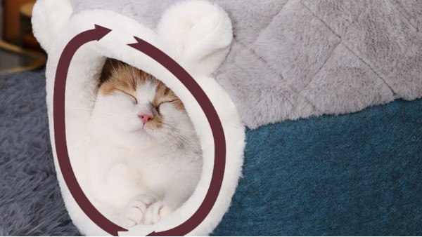 無(wú)膠棉-狗窩和貓窩的填充物