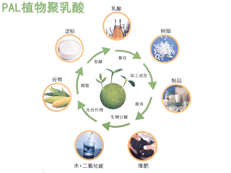 可降解吸水棉|PAL植物聚乳酸