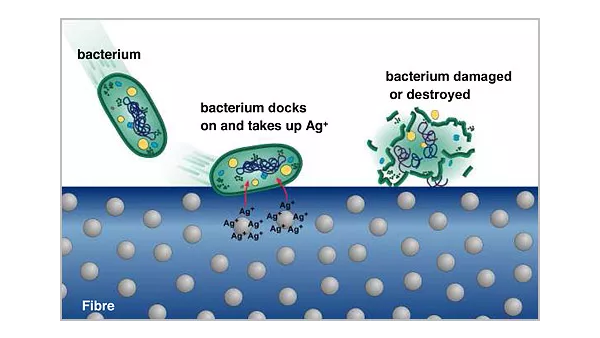 抗菌紡織品加工、發展及應用