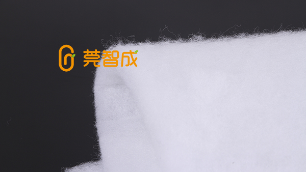 無膠棉廠智成纖維，品牌彰顯實力